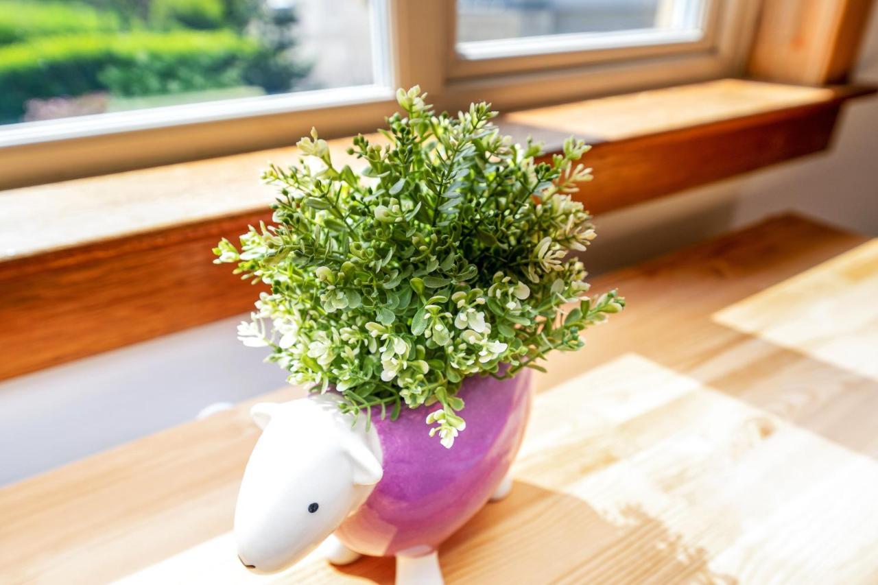 Cozy With Character Cheerful Home With Garden At Leith Links Park エディンバラ エクステリア 写真